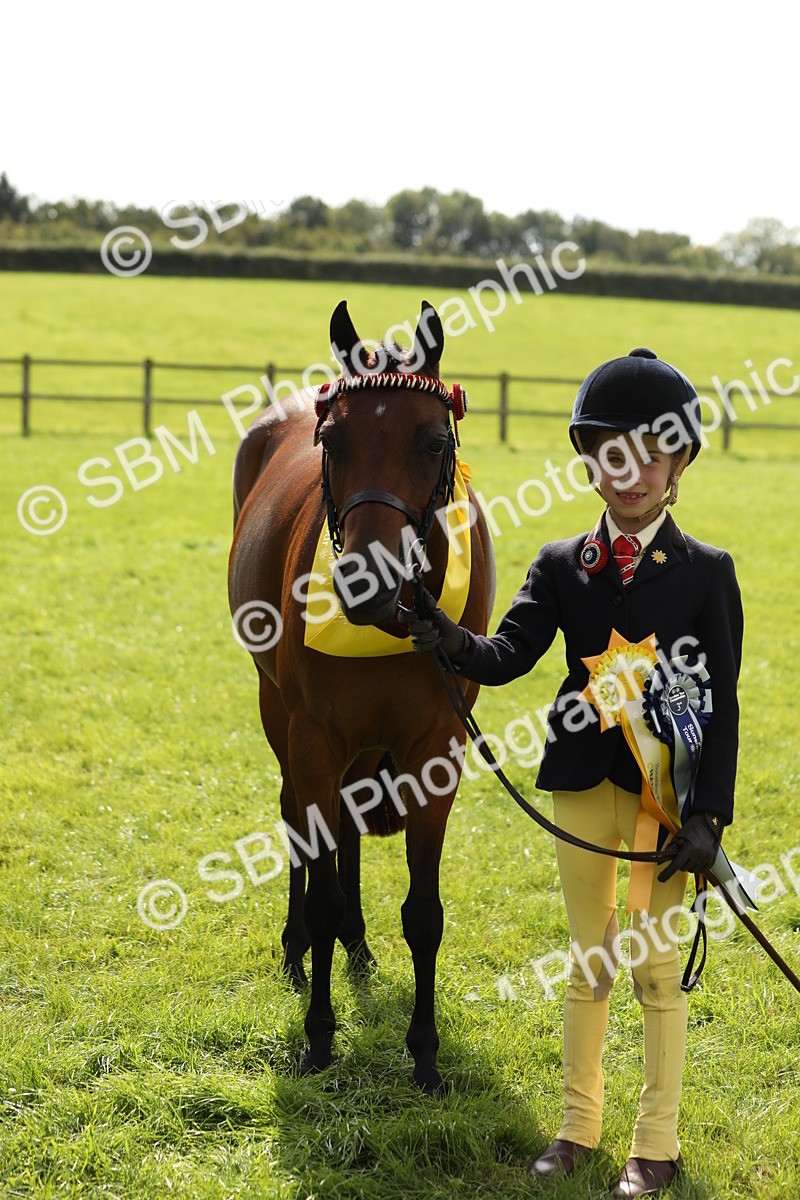 SBM_66347 - In Hand Pony & Youngstock Supreme Championship