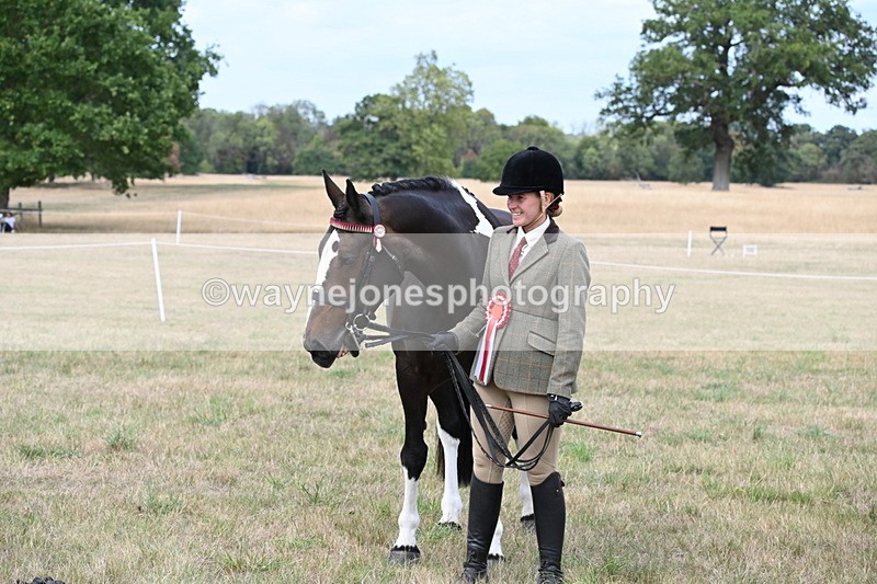 WJ6_6306 - Class 19 In-hand Veterans (Uploaded correct folder)