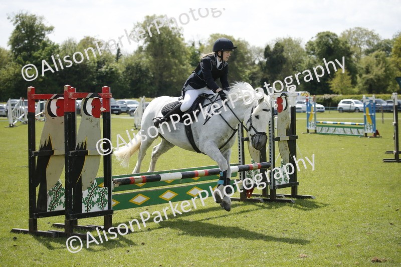 20250427-3745 - Class 14 - Absolute Novice 70cm