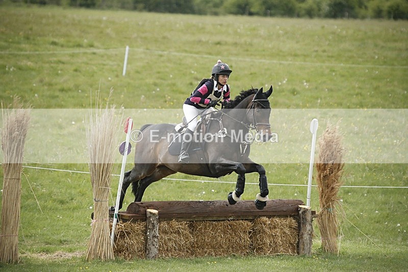 BVHT 140517  NXC -179 - Class 2 XC Novice 14/05/17