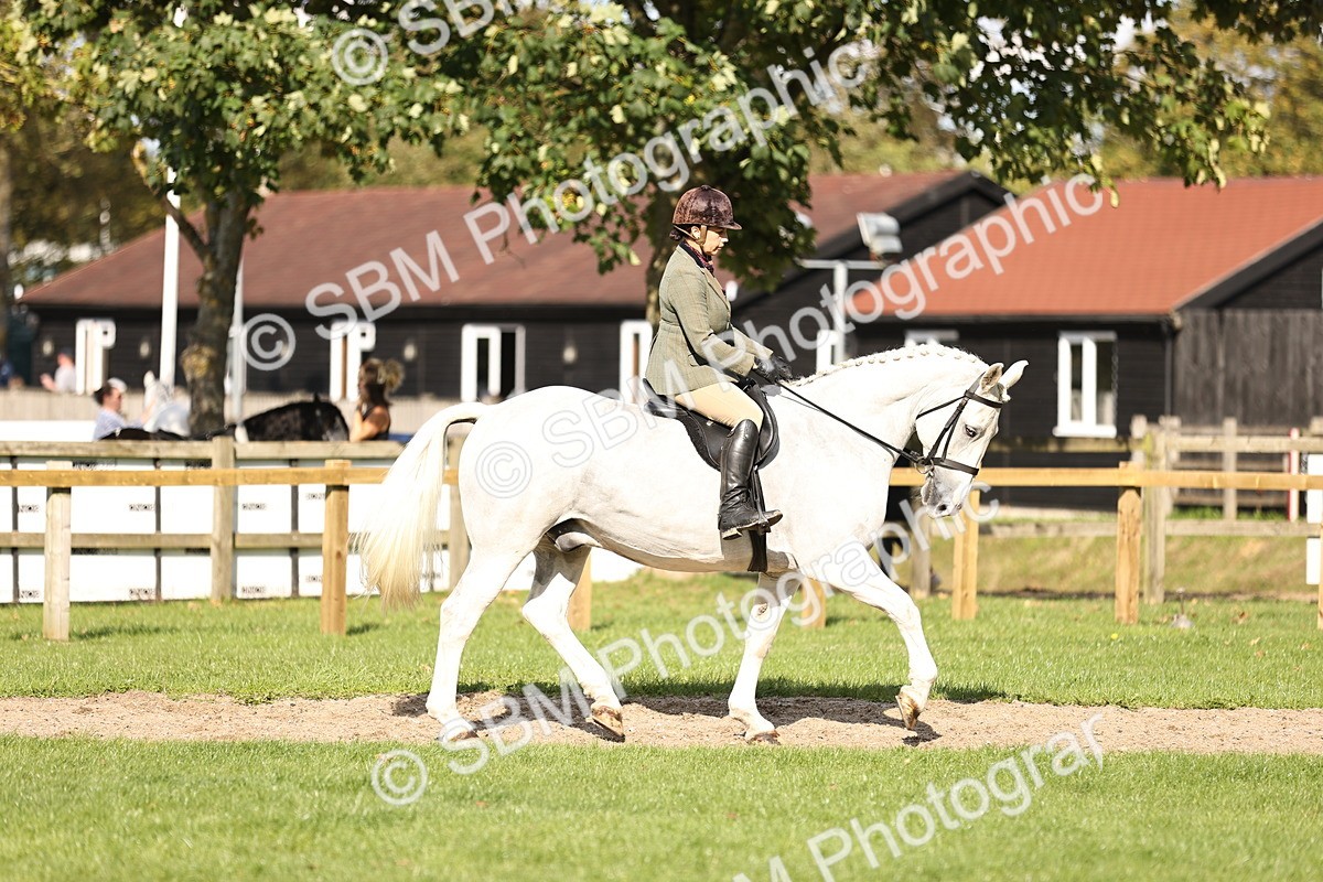 SBM_26335 - S6 - Novice & Newcomers Ridden Horse