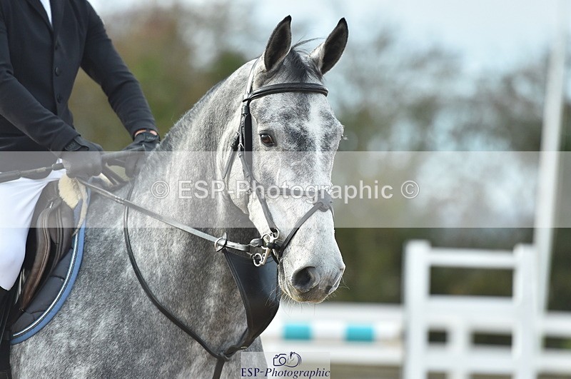 231111A-121402-01771 - Cls 12 Newcomers & 1.10m Open