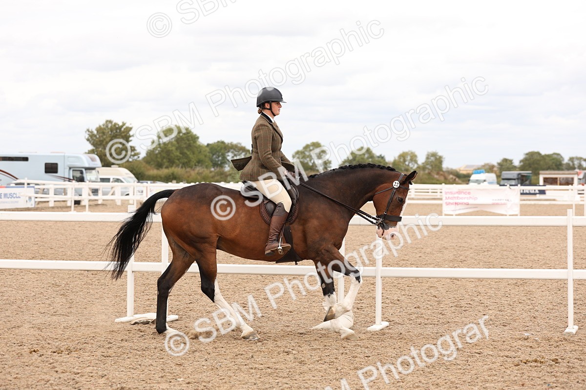 SBM_17219 - Class 213 - Ridden Hunter - Large