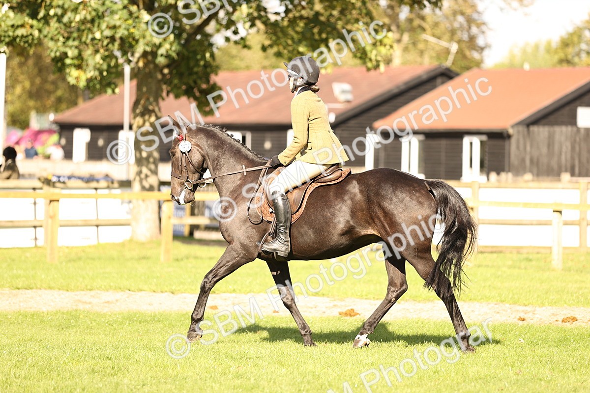 SBM_26389 - S6 - Novice & Newcomers Ridden Horse