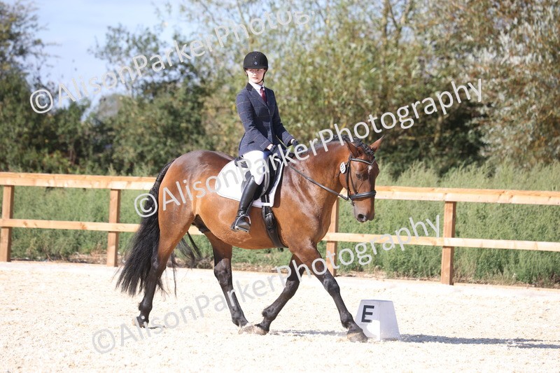 20260905-1609 - Class 5 - Novice 2