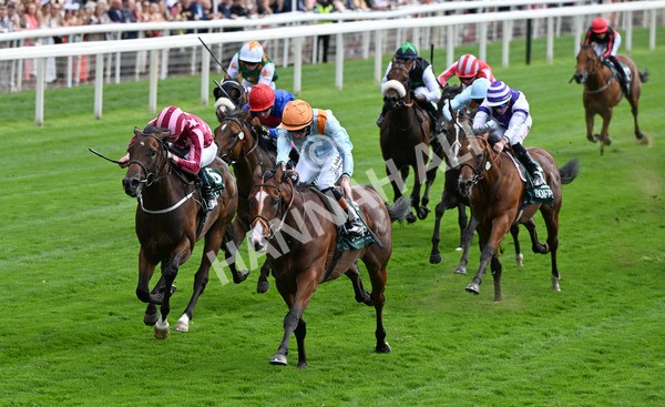 210825-033 Song Of The Clyde - Race 2 2.25pm Harry's Half Million By Goffs