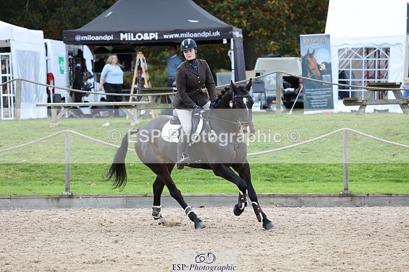 241027-151309-18195 - Presentations - BE100 3DE