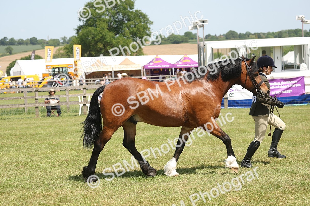 SBM_06978 - Class 26-30 - Mountain and Moorland Ridden