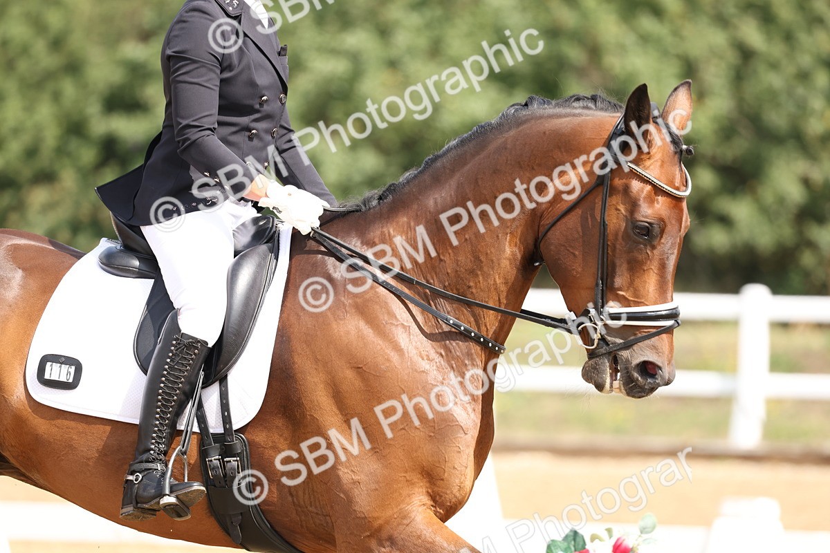 SBM_005876 - Class 6 - Novice 6 - 10.26-11.29