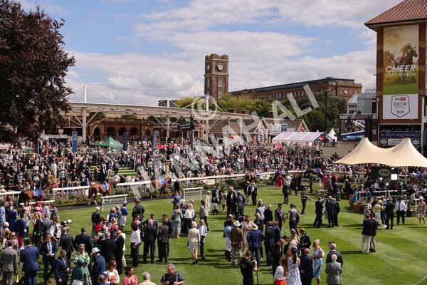 yr19082022r1-2 - Race 1 1.50pm Sky Bet Stakes