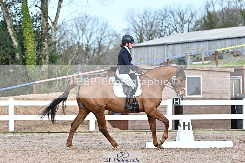 250125-131135-00584 - Dressage - CT Class 6 BE102