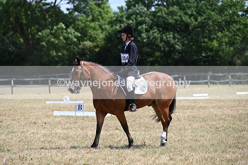 WJ6_3989 - Time 11:43 to 12:14