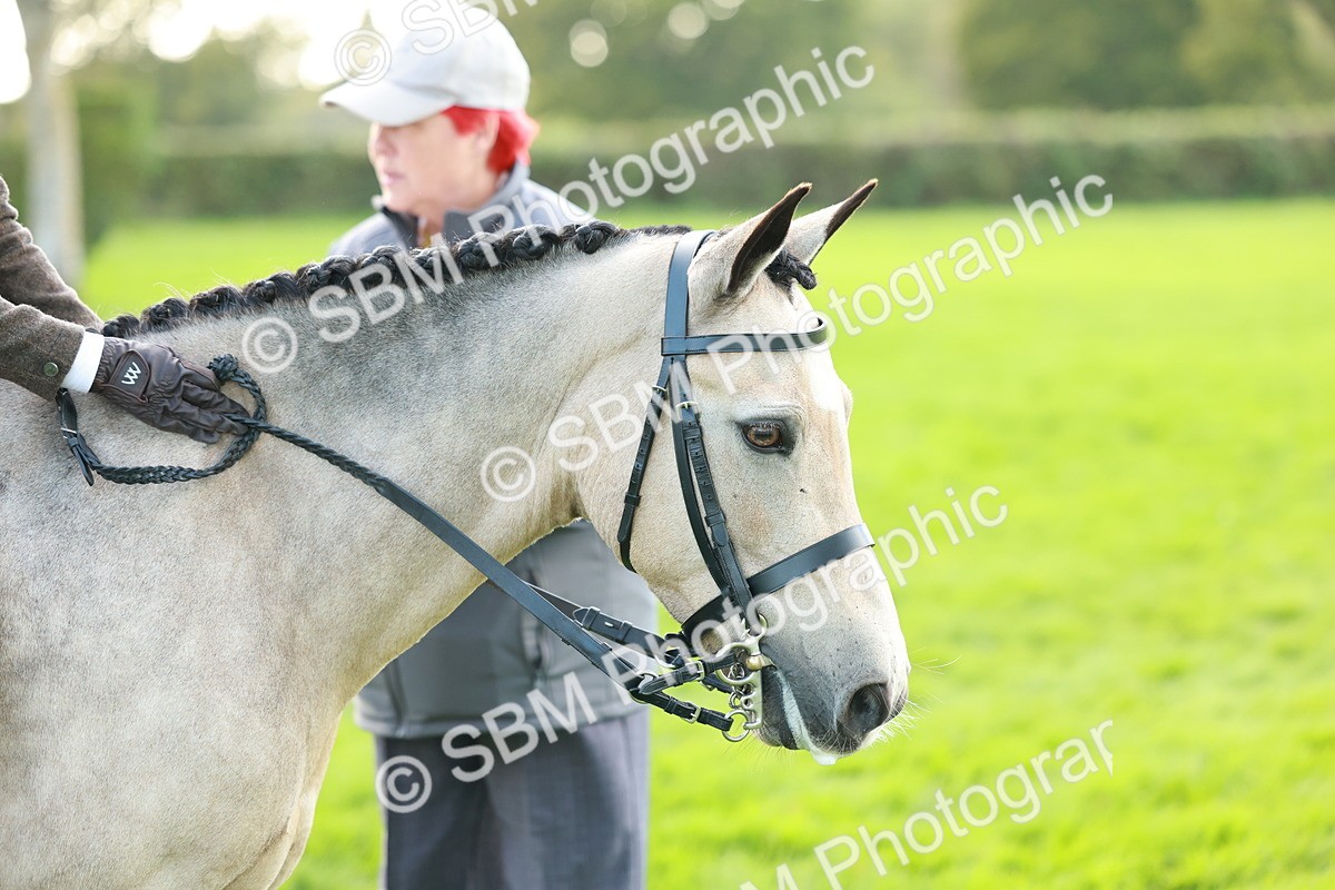 SBM_28828 - S7 - Novice & Newcomer Ridden Pony