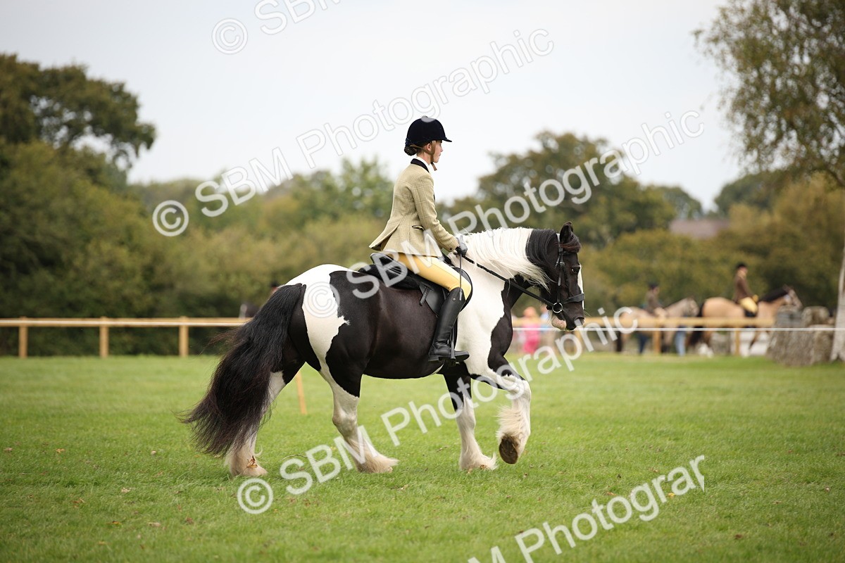 SBM_73515 - S68 - Traditional Cob Ridden