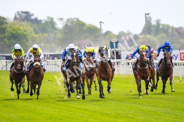 170523-Race 1-Scampi-0164 - Race 1 1.50pm Sky Bet Race To The Ebor Jorvik Handicap