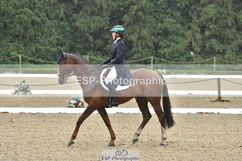 231018-143520-00602 - 002-CHILLI.BILL-Alicia.Wilkinson-DR