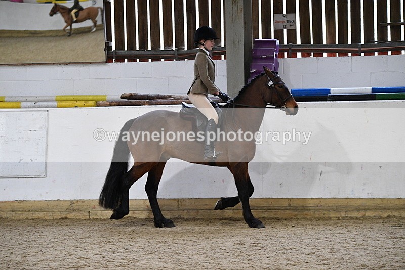 WJ5_7157 - Class 11 Ridden PC - RC Pony
