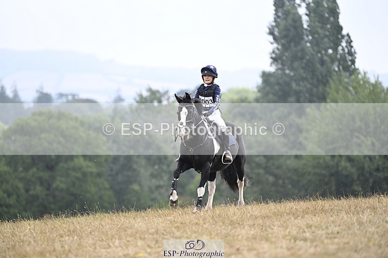 250824A-113508-35307 - 2003-Ebe.Mccormick-Dirty.Dancer