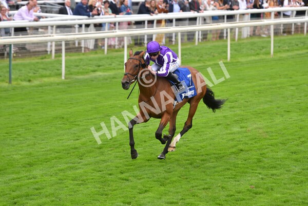 yr19082021r4-49 - Race 4 3.35pm Darley Yorkshire Oaks (British Champions Series race)