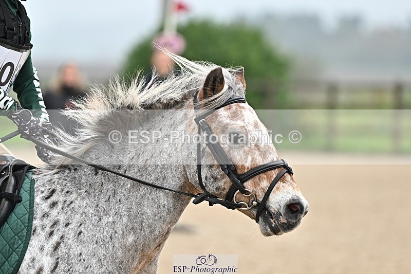 241110-095650-00131 - 40cm Showjumping