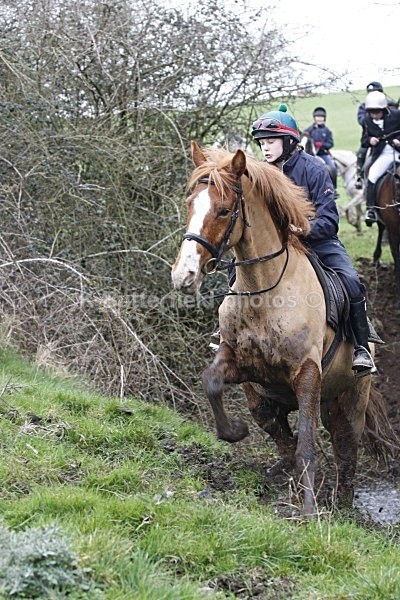 _MGN0579 - Summerhill Chase 2012