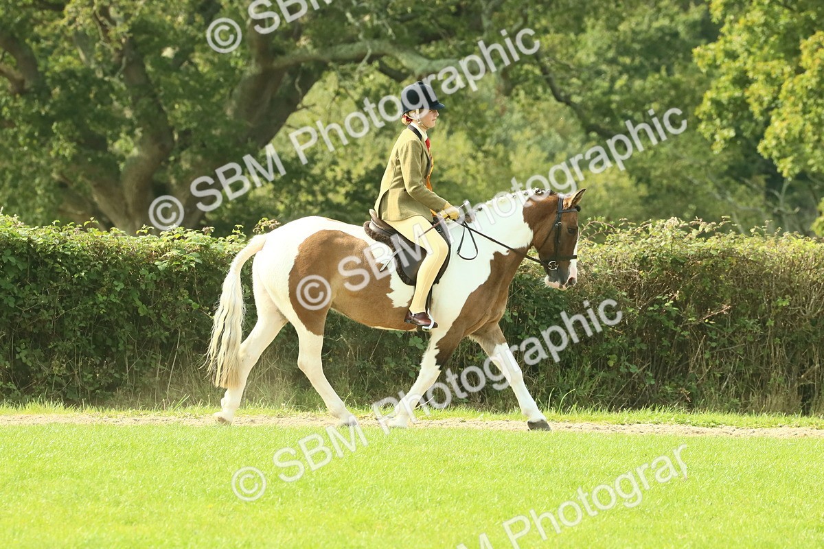 SBM_69004 - S58 - Mini Show Cob Ridden