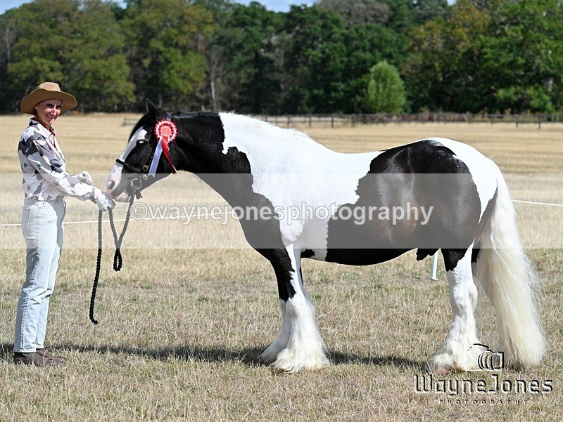 WJ7_9592 - Kellie and Nancy at Swallowfield 31-08-26