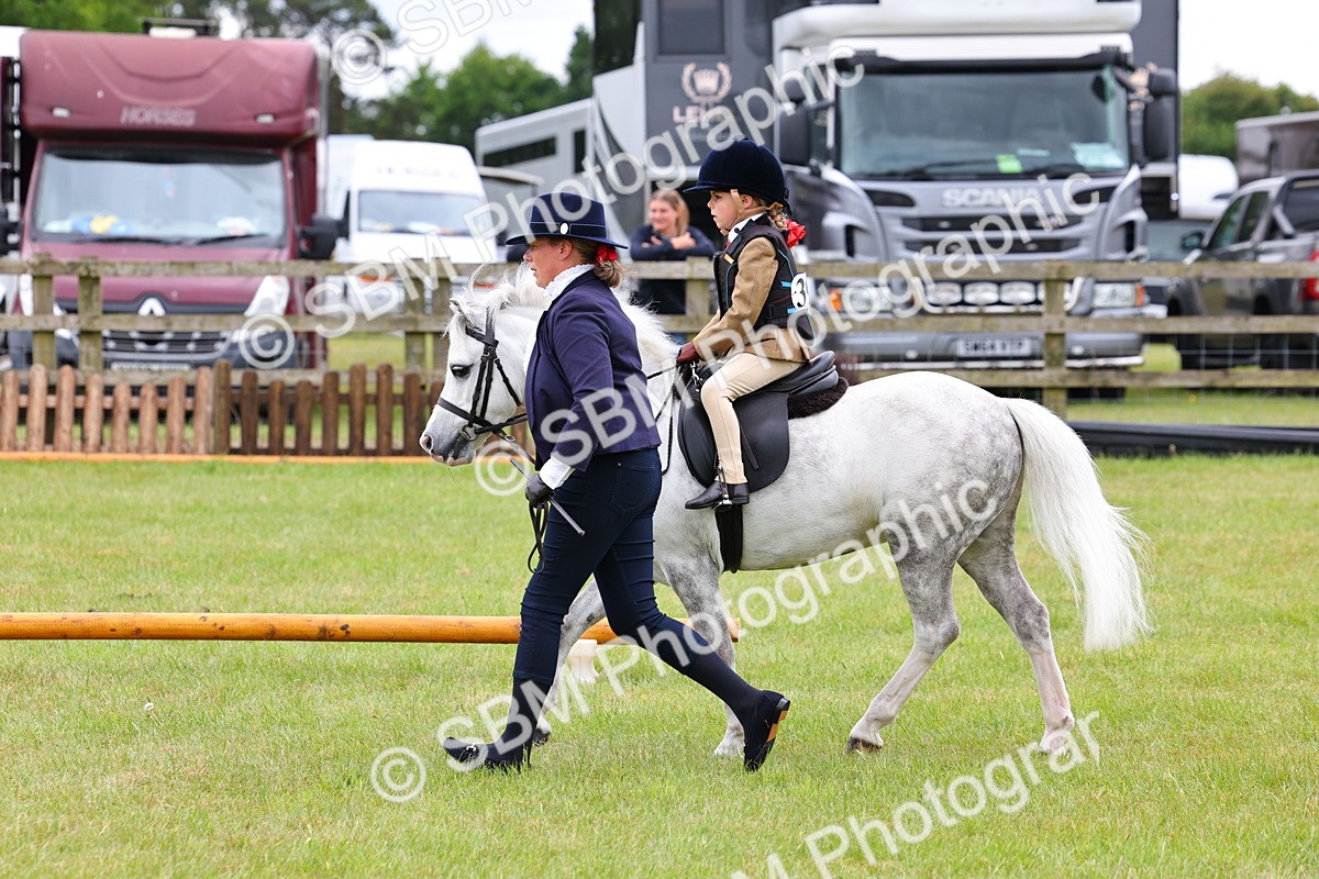 SBM_08129 - Class 42-43 - LIHS BSPS Heritage Working Sports Pony