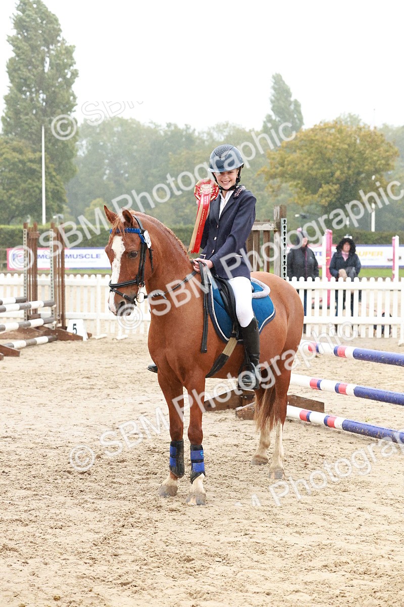 SBM_73475 - Supreme Championship Junior Pony 60cm & 65cm