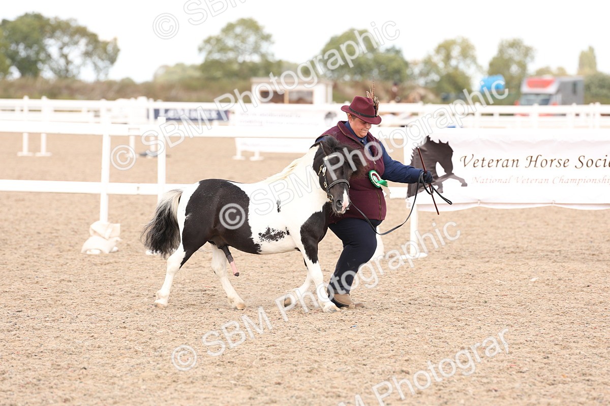 SBM_15155 - Class 209 - IH Veteran Pony