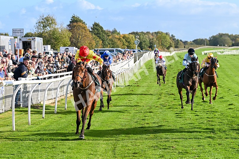 191024-Race 5-Vince Le Prince-4479 - Race 5