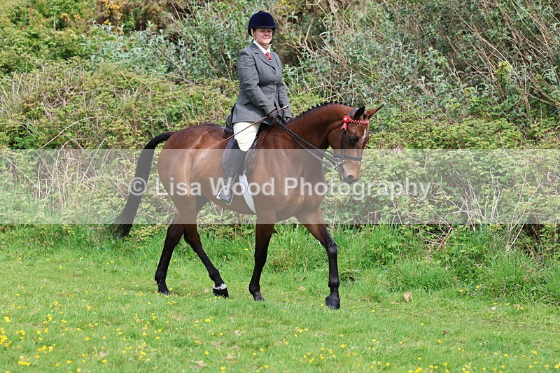 3E7A1699 - Class 9: Riding Club Horse/Pony