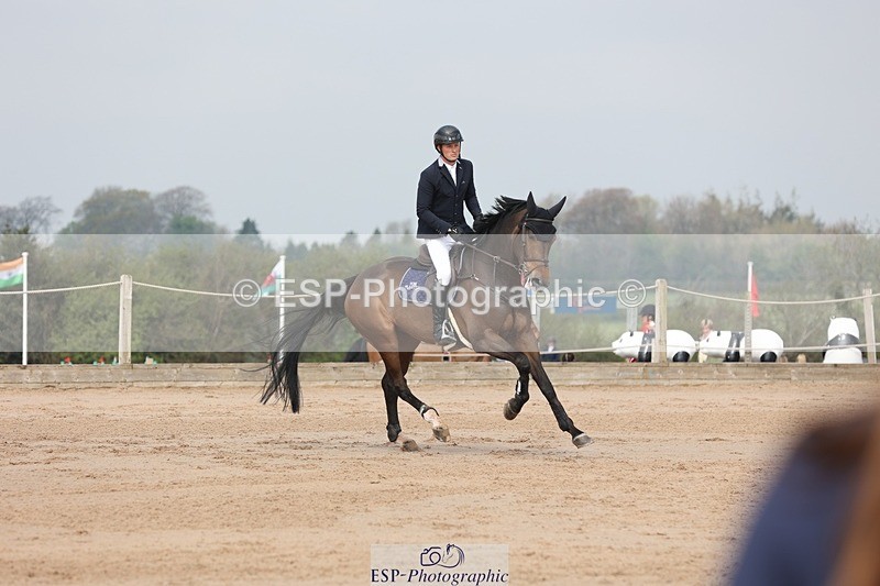 250424-105240-03275 - Cls 33 Young Horse 7yr old