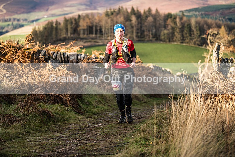 Tweed Valley-494 - High Terrain Events Tweed Valley 50 & 65K Ultra Trail Races Sunday 16th November 2025