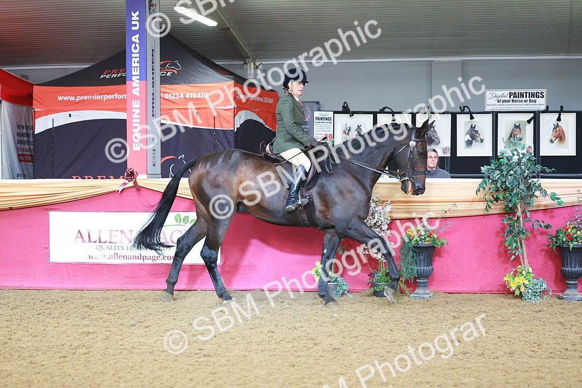 SBM_07634 - Class 101 - HOYS Veteran Qualifier - Ridden Diamond