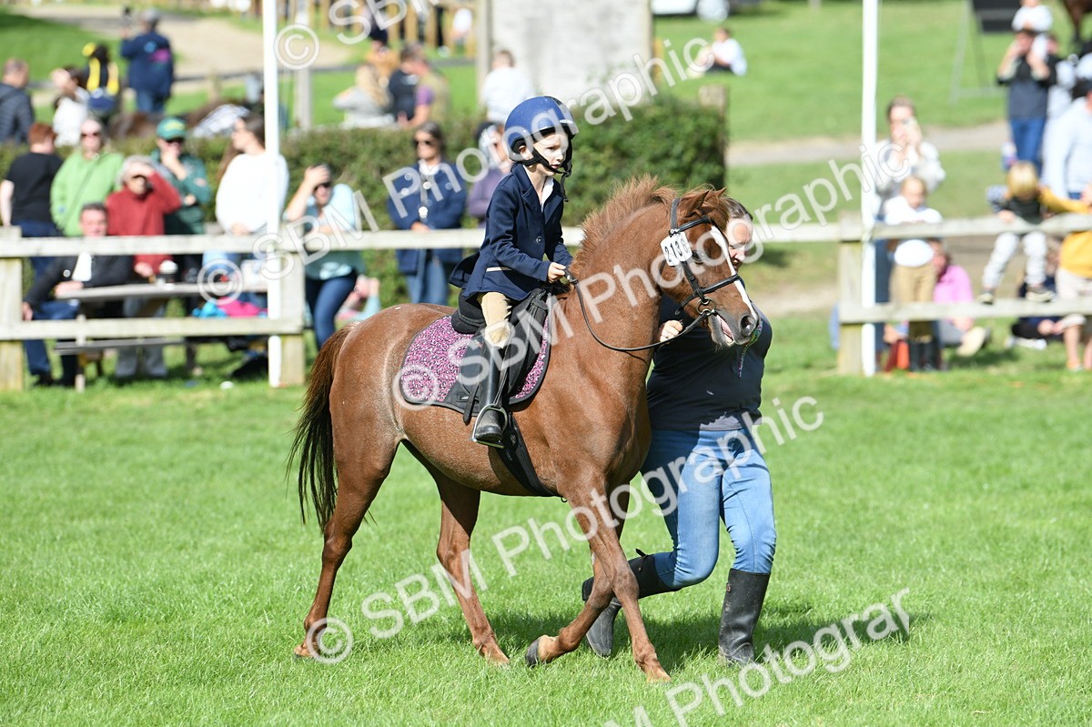 SBM_47154 - S12 - Family Horse & Pony