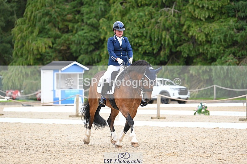 230813-142211-07744 - Cls 13 Medium Bronze 13.15 to End