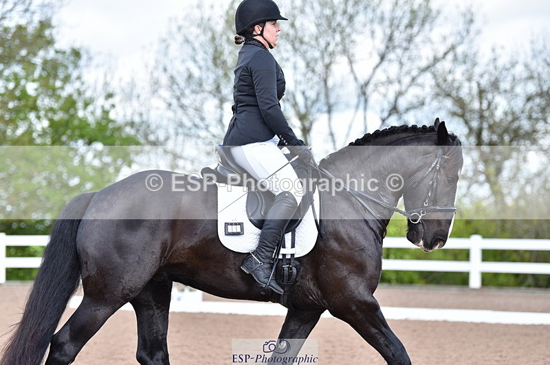 230511A-100610-00196 - BD Cls 2 Prelim 17A