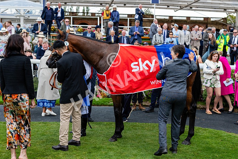 210826-Race 1-Blue Courvoisier-6260 - Race 1 13.50pm Sky Bet Mile Handicap