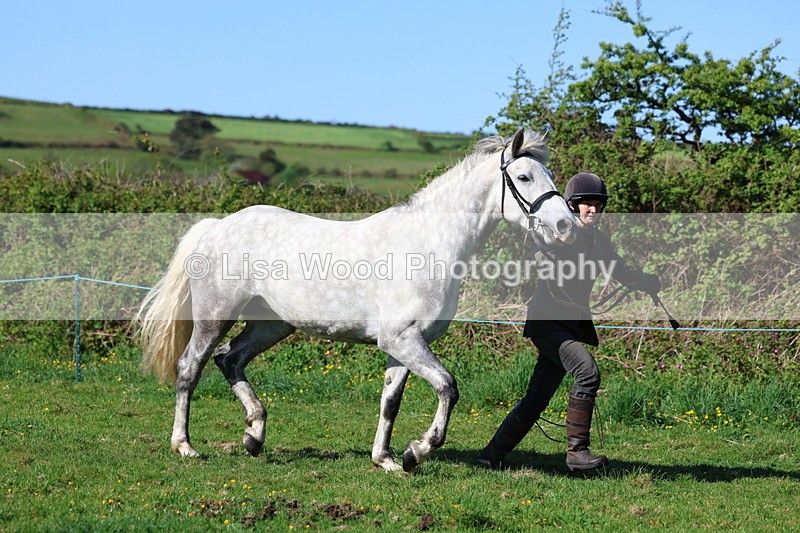 3E7A8542 - Class 13: M & M Large Breeds
