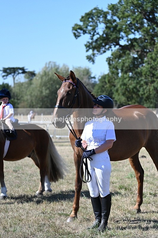 WJ7_1607 - Class 42 Most Handsome Gelding