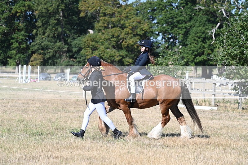 WJ7_3305 - Class 8 Ridden Tack & Turnout