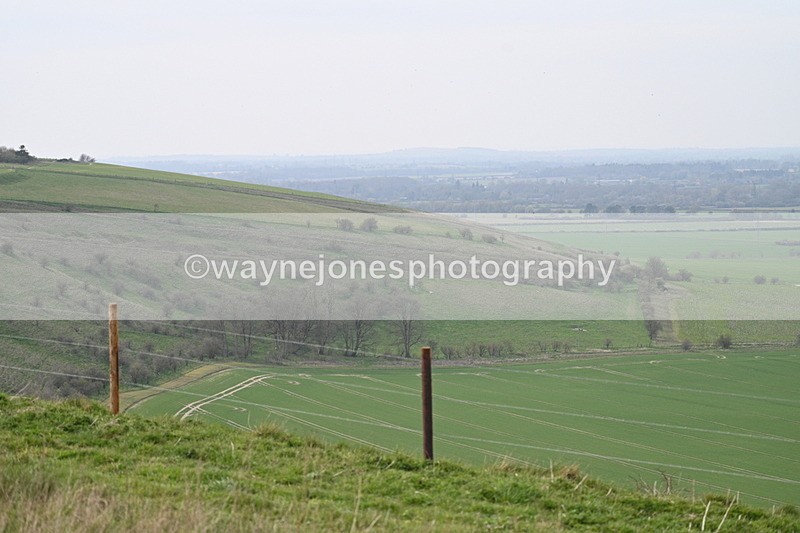 WJ7_8020 - Line 2 A camera