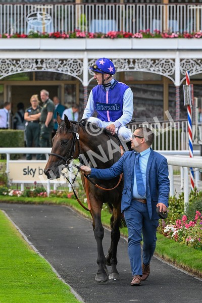 250725-Race 1-Pressures On - Quest For Fun-0240 - Race 1 5.30pm eventmasters.co.uk Handicap