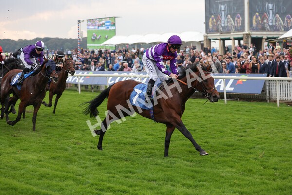 yr09102021r1-44 - Race 1 1.30pm Watch Racing Free Online At Coral Nursery Handicap