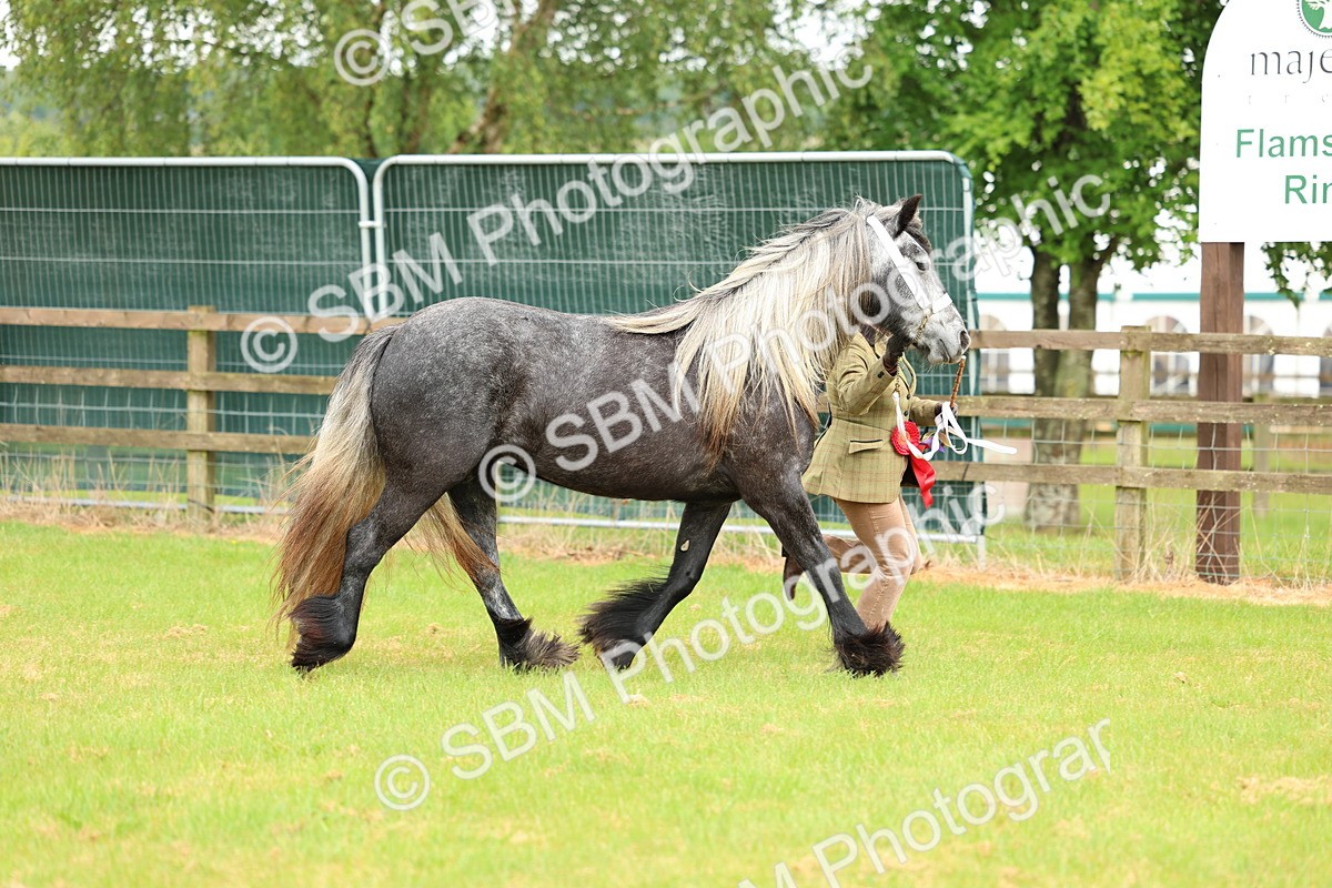 SBM_00452 - Class 58-67 - M&M Non Welsh Pony In hand