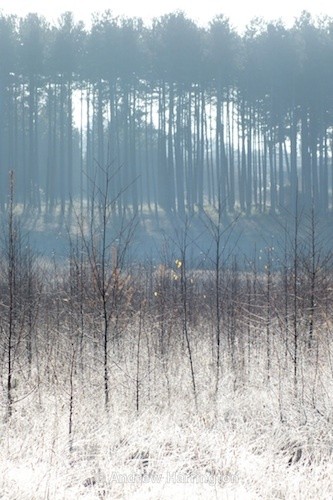 defrosting - Photos 3