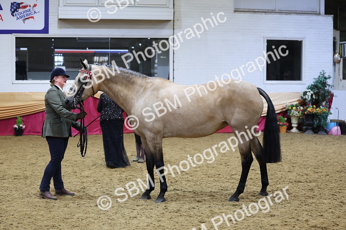 SBM_20885 - Class 902 - Supreme Final IH Veteran