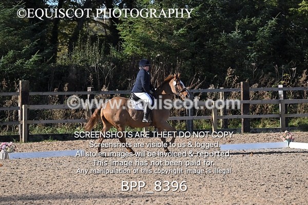 BPP_8396 - LONG ARENA