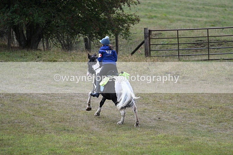 WJ7_5978 - Time 11:50 to 12:09